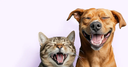 Embrace pet insurance logo